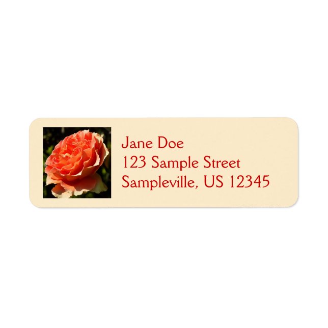 Orange Rose II Beautiful Floral Label (Front)