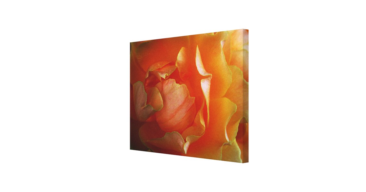 Orange Rose in Shadow & Light Canvas | Zazzle