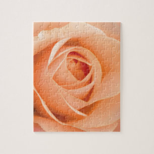 Orange Rose Jigsaw Puzzle