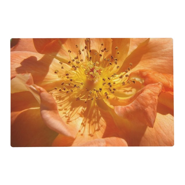 Orange Rose Laminated Placemat (Front)