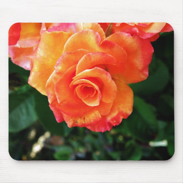 Orange rose mouse pad (Front)