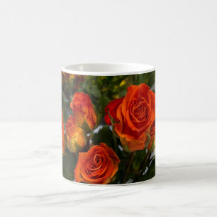Orange Rose Mug