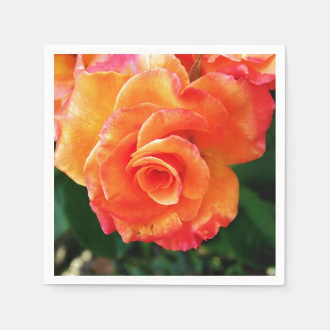 Orange rose  napkins (Front)