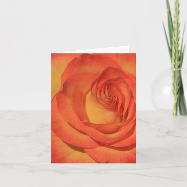 Orange Rose Notecard (Front)
