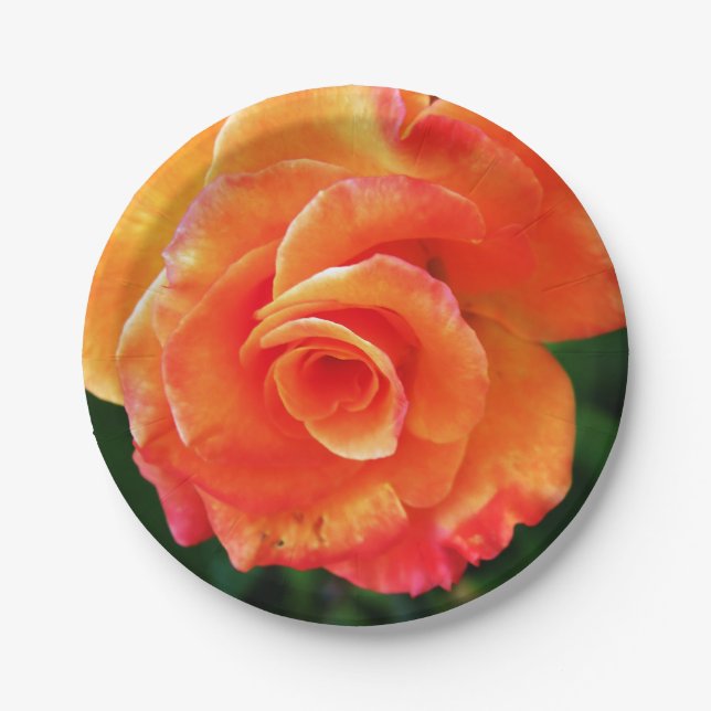 Orange rose   paper plates (Front)