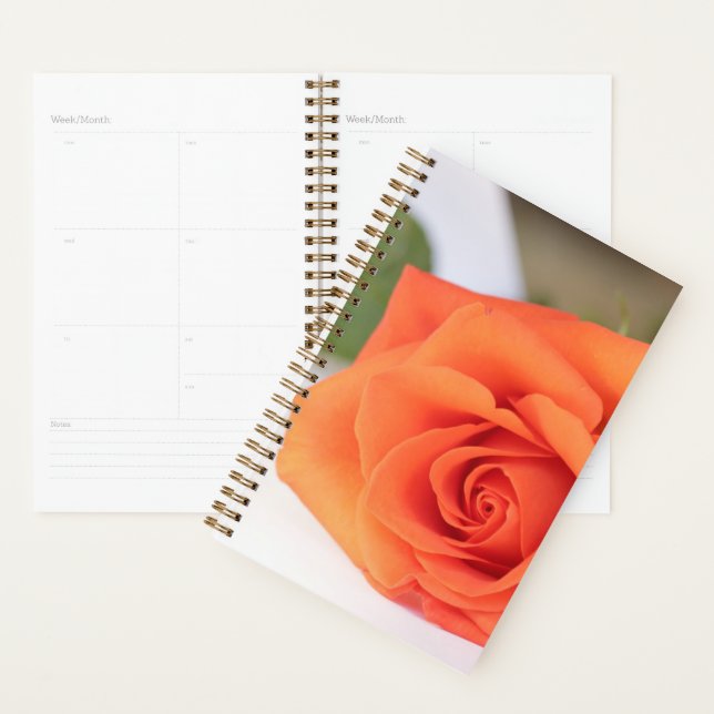 Orange Rose Petals Flower Floral Planner (Display)