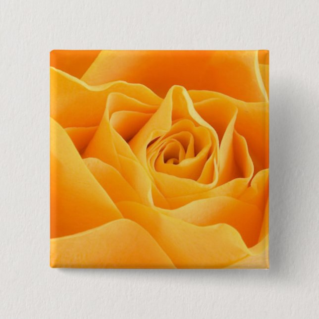 Orange Rose Pinback Button (Front)