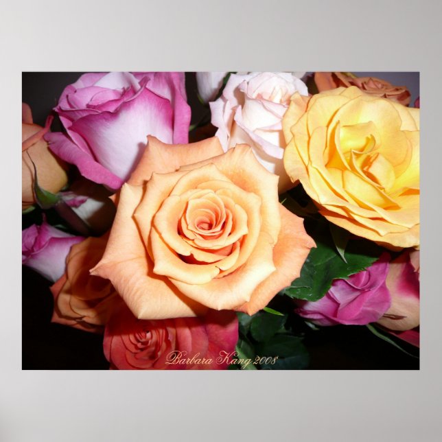 Orange Rose Poster (Front)