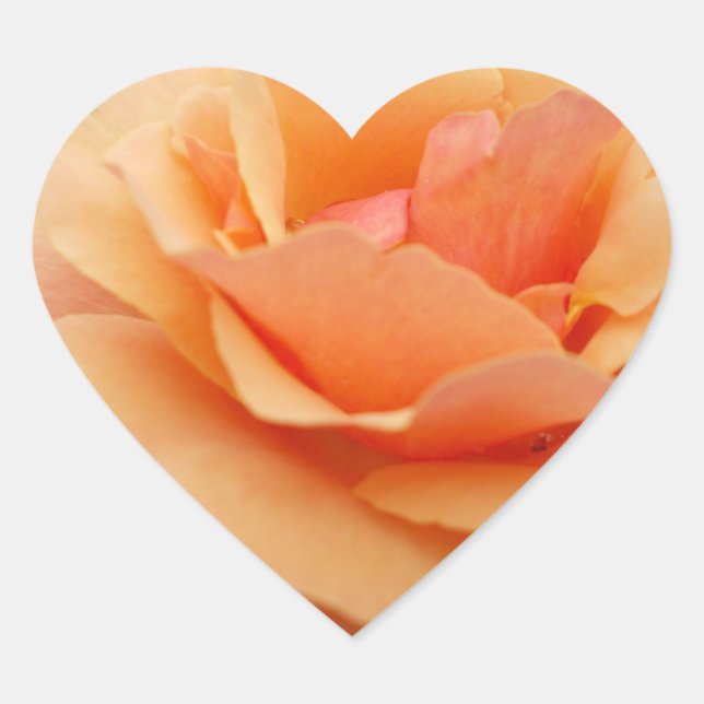 Orange Rose Sticker (Front)