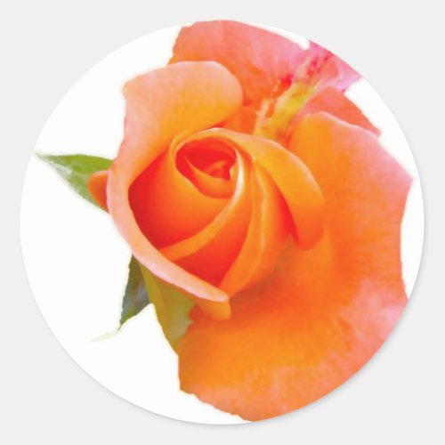 Orange Rose Stikers Classic Round Sticker