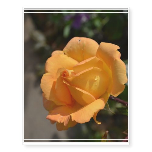 Orange Rose Temporary Tattoos