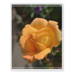 Orange Rose Temporary Tattoos