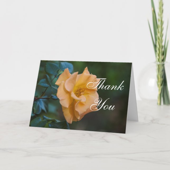 Orange Rose Thank You (Front)