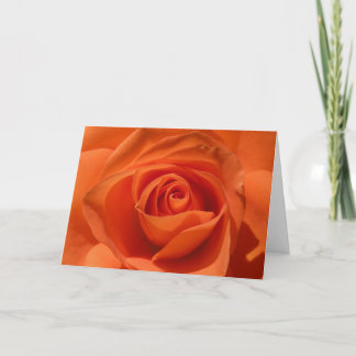 Orange Rose Valentine Card