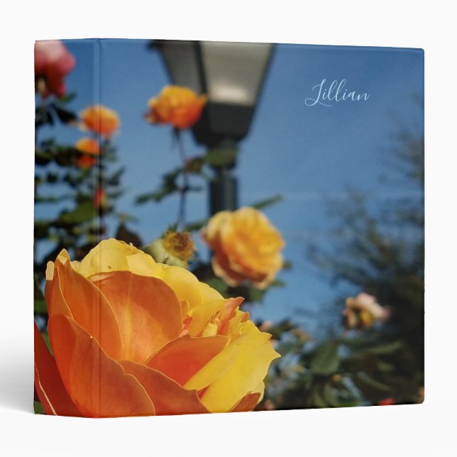 Orange Roses With Old Fashioned Street Lamp 3 Ring Binder (Front/Spine)