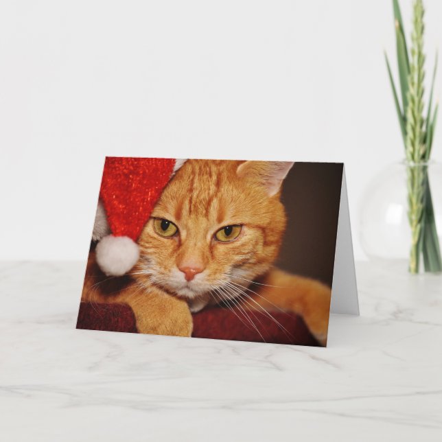 Orange Santa Kitty: Merry Christmas from the Cat Holiday Card (Front)