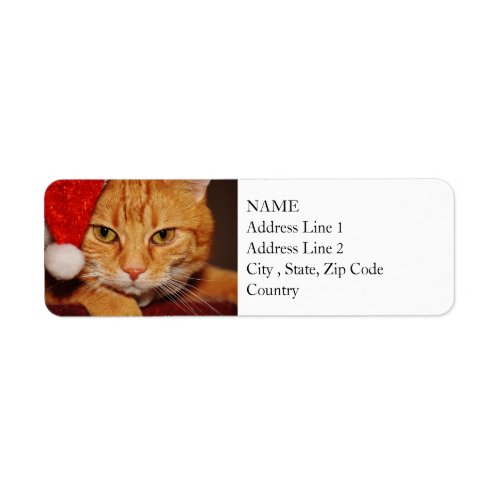 Orange Santa Kitty Merry Christmas from the Cat Label