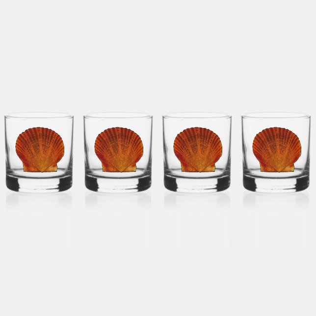 Orange Scallop Shell Seashell Whiskey Glass (Front)