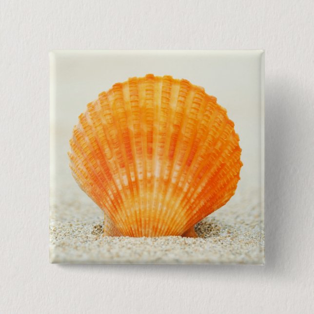 Orange Scallop Shell Standing Upright In Sand Pinback Button (Front)