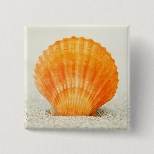 Orange Scallop Shell Standing Upright In Sand Pinback Button