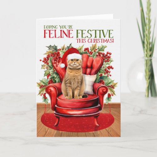 Orange Scottish Fold Christmas Cat FELINE Festive Holiday Card