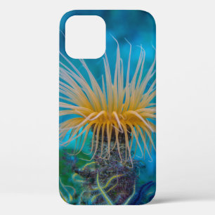 Orange Sea Anemone Aquatic Ocean Life iPhone 12 Case