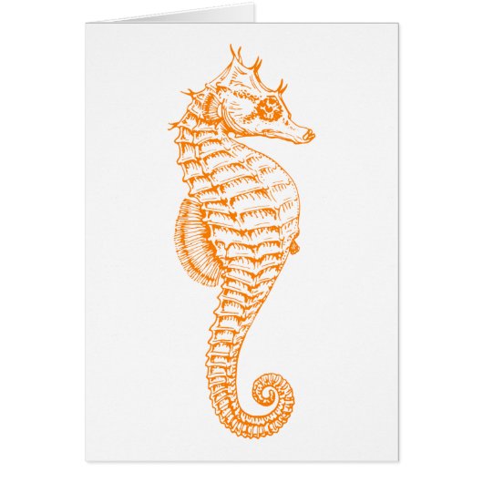 Orange Seahorse Cards (Front)