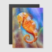Orange Seahorse delight (Front/Back)