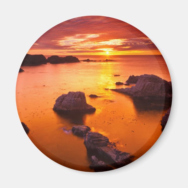 Orange seascape, sunset, California Magnet (Front)