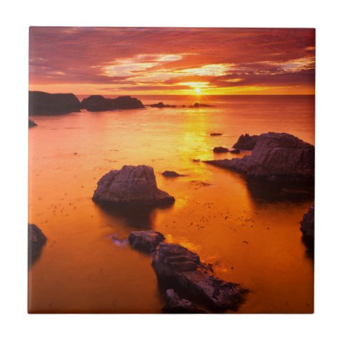 Orange seascape sunset California Tile