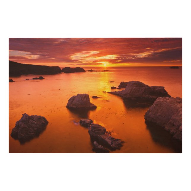 Orange seascape, sunset, California Wood Wall Art (Front)