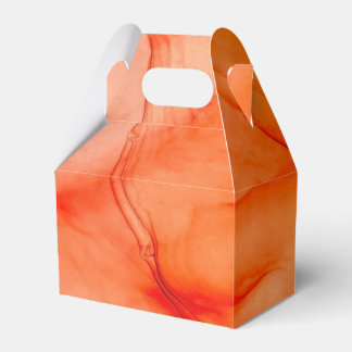 Orange Sherbet Favor Boxes