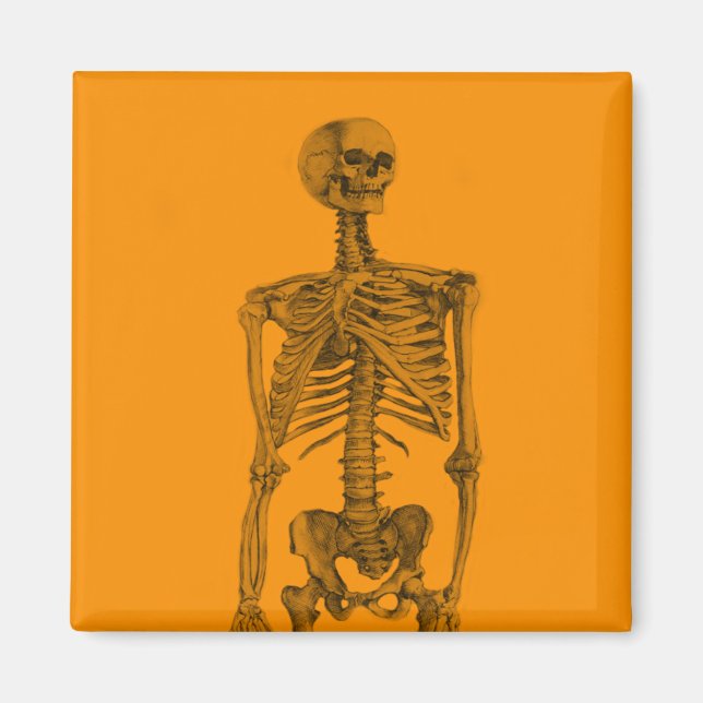Orange Skeleton Skull Magnet (Front)