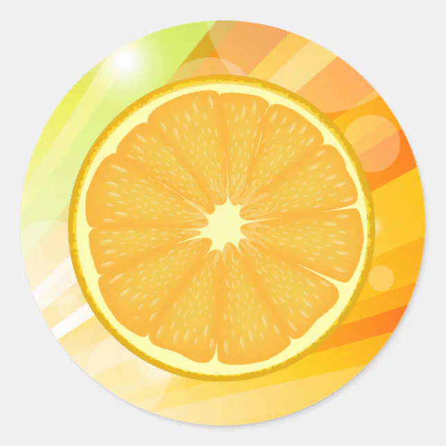 Orange Slice Citrus Fruit Classic Round Sticker Zazzle 6678