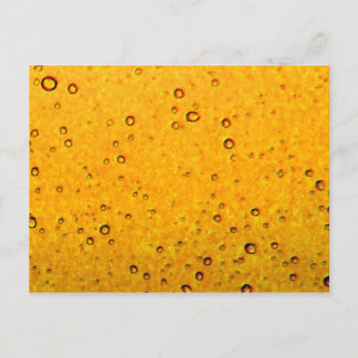 Orange Soda Postcard