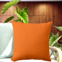 Orange solid color pillow