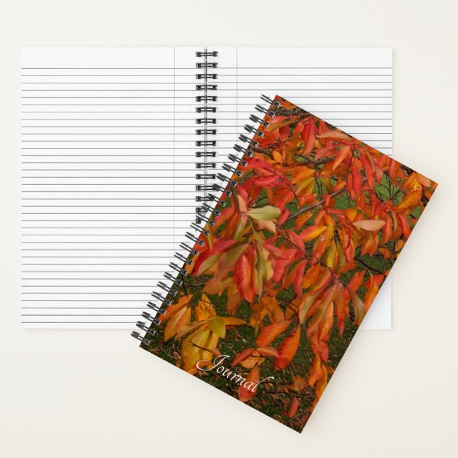 Orange Sourwood Autumn Leaves Notebook (Inside)