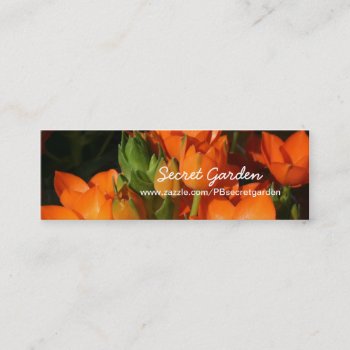 Orange Spring 1 -floral Photography Mini Business Card by PBsecretgarden at Zazzle