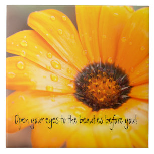 Orange Spring Flash African Daisy Close Up Ceramic Tile