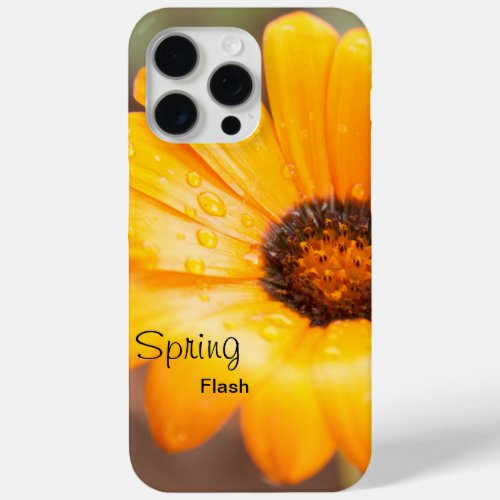 Orange Spring Flash African Daisy Flower Custom iPhone 15 Pro Max Case
