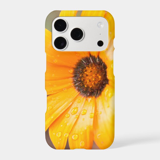 Orange Spring Flash African Daisy Flower Photo Case-Mate iPhone Case (Back)