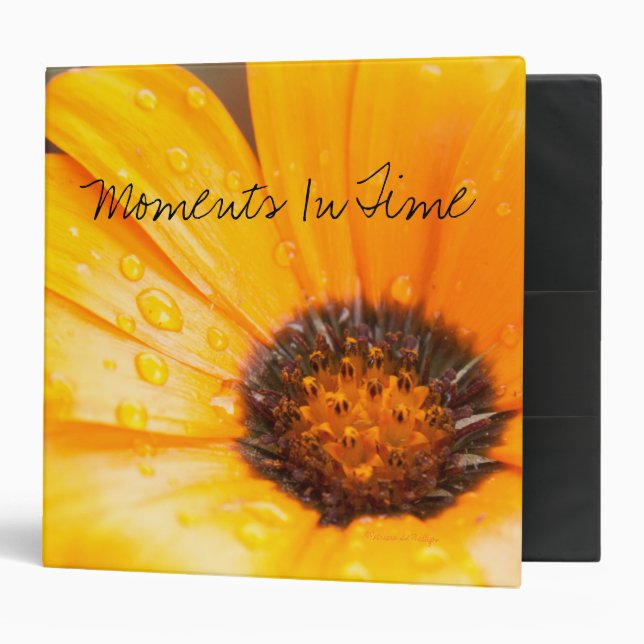 Orange Spring Flash African Daisy Photo Custom Binder (Front/Inside)