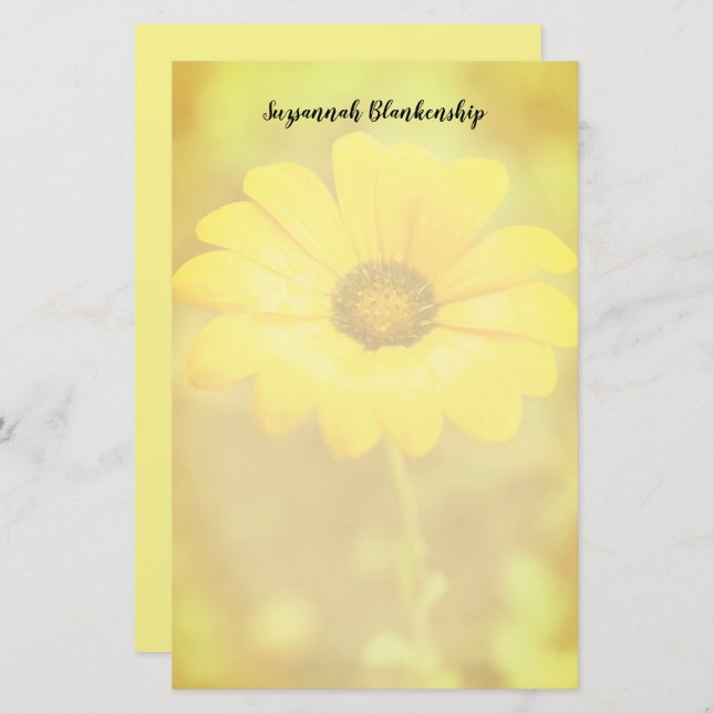 Orange Spring Flash African Daisy Photo Custom Stationery (Front/Back)