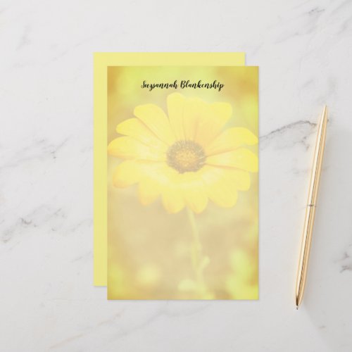 Orange Spring Flash African Daisy Photo Custom