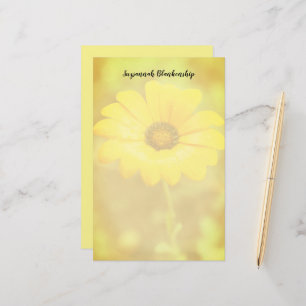 Orange Spring Flash African Daisy Photo Custom Stationery