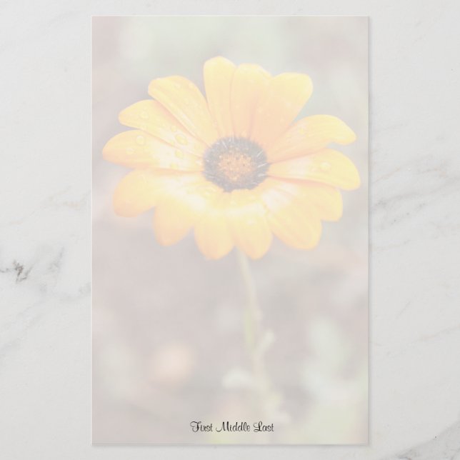 Orange Spring Flash African Daisy Photo Template Stationery (Front)
