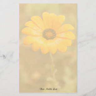 Orange Spring Flash African Daisy Photo Template Stationery