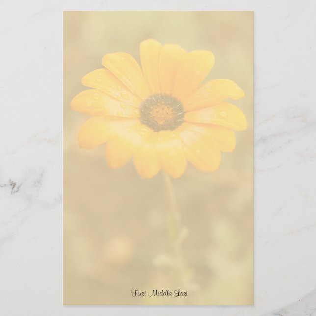 Orange Spring Flash African Daisy Photo Template Stationery (Front)