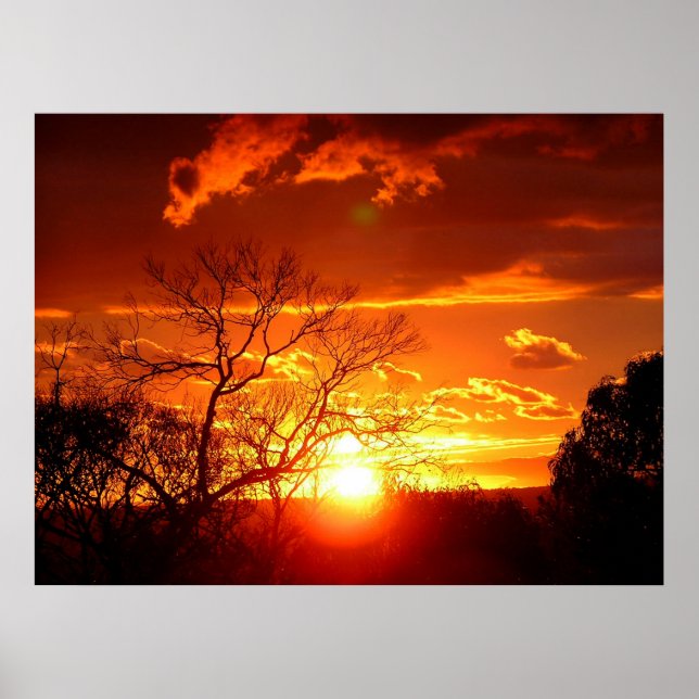 Orange Squash Sunset Poster (Front)
