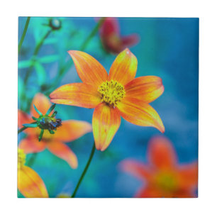 Orange Star Flower Ceramic Tile